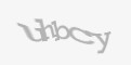 Biztonsági kód